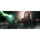 Harry Potter My Favourite Movie Action Figure 1/6 Sirius Black 30 cm